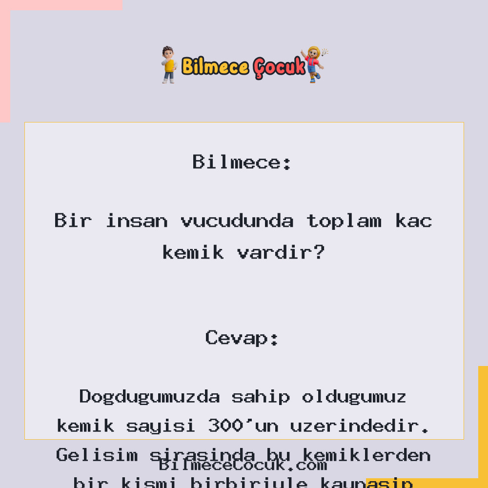 Bir insan vücudunda toplam kaç kemik vardır?