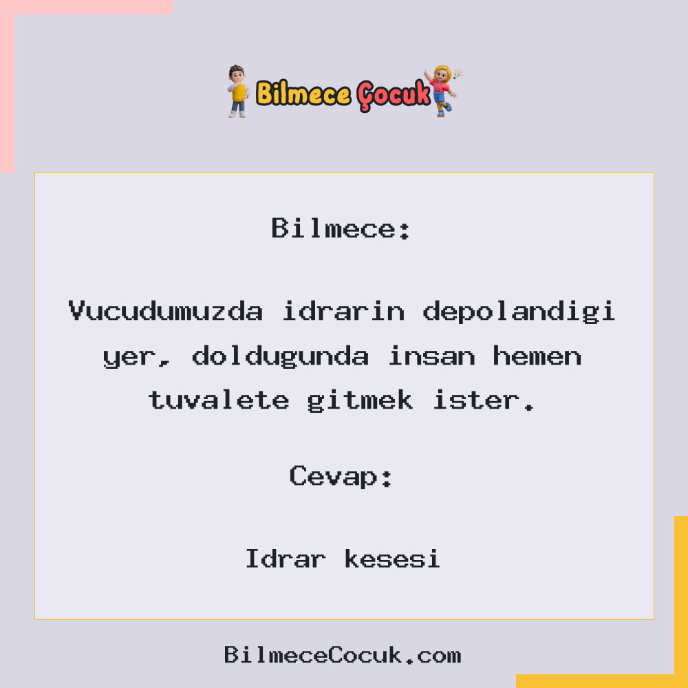 Vücudumuzda idrarın depolandığı yer, dolduğunda insan hemen tuvalete gitmek ister.